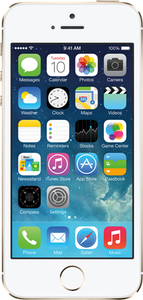 Ремонт iPhone 5S в ProFix